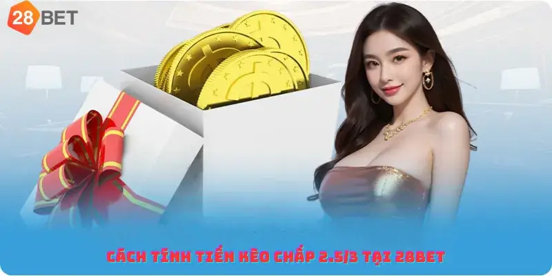 Cách tính tiền kèo chấp 2.5 3 tại 28bet