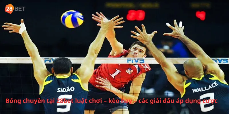 Bóng chuyền tại 28bet luật chơi – kèo hay – các giải đấu áp dụng cược