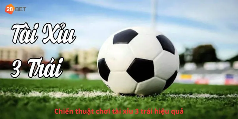 Chiến thuật chơi tài xỉu 3 trái hiệu quả