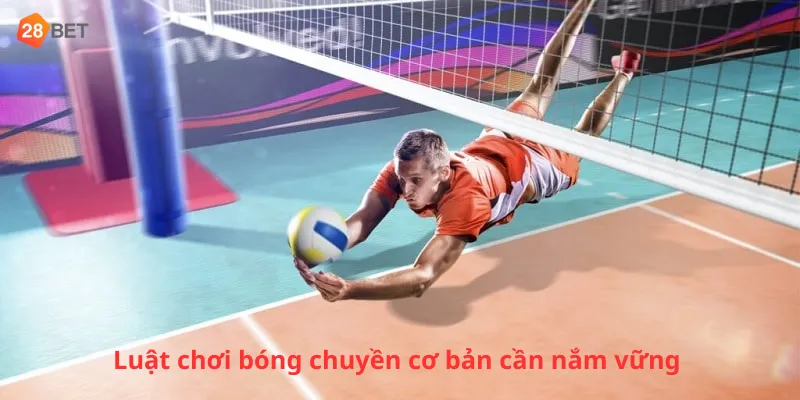 Luật chơi bóng chuyền cơ bản cần nắm vững